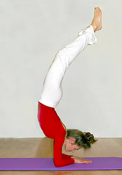image00 Connect with others to accelerate your progress!